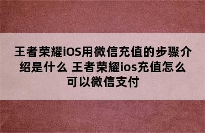 王者荣耀iOS用微信充值的步骤介绍是什么 王者荣耀ios充值怎么可以微信支付